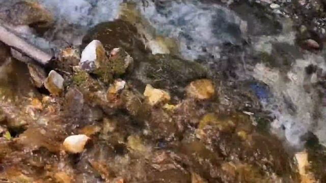 Путешествие в Аршан 2019 смотреть онлайн