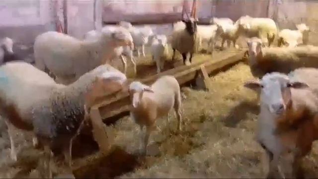 7 января 2024 г.