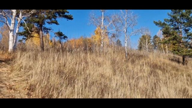 город Братск