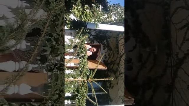 Архитектура-история