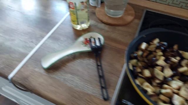 ДЕЛА САДОВЫЕ/ОБЗОР САДА/ОБЗОР ТЕПЛИЦЫ/ЛЕТНИЕ ВПЕЧАТЛЕ