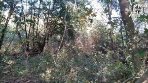 Строим засидку лабаз на дереве