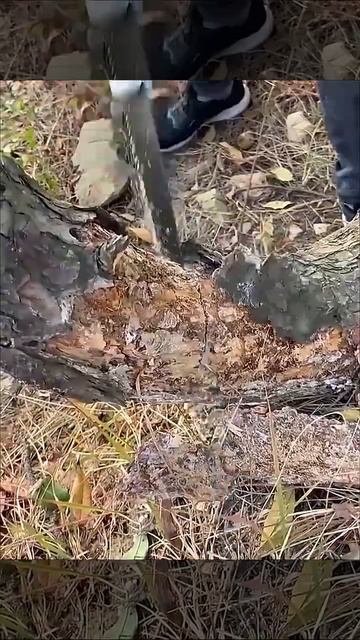 Складная походная ножовка. смотреть онлайн