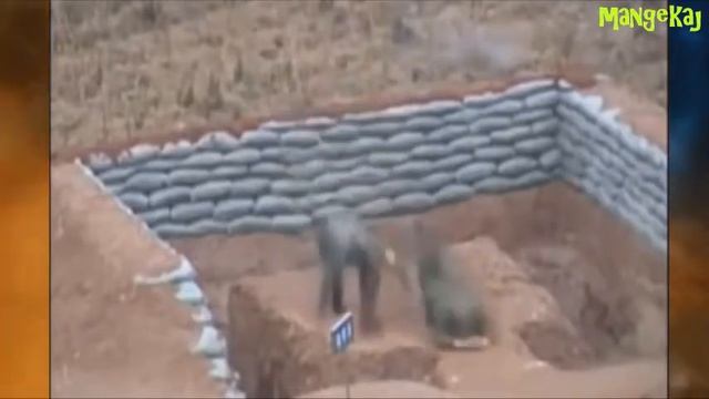 Лучшие приколы с оружием 2016 +от mangekaj смотреть онлайн