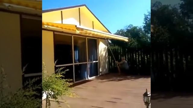 Выдвижная маркиза для террасы.