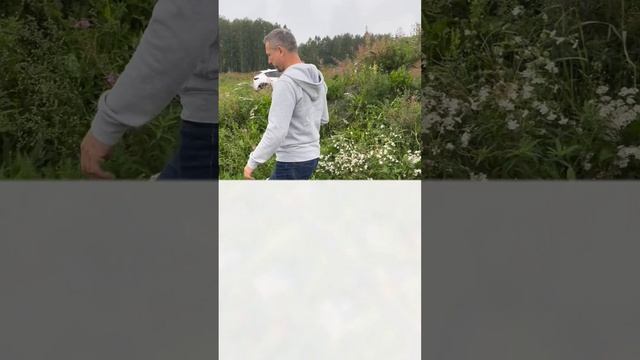 Какой грунт а нашем поселке? #екатеринбург #строительс смотреть онлайн