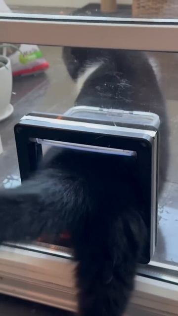 Дверца для домашних животных в стеклопакете от ALEKSPRO.BY смотреть онлайн