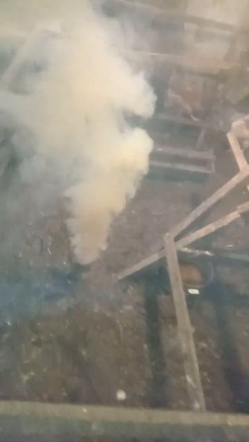 Самая эффективная дезинфекция курятника смотреть онлайн