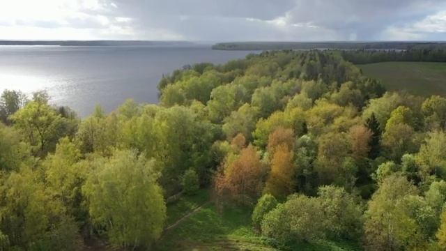 Видео WhatsApp 2025-05-07 в 17.14.50_6d171546 смотреть онлайн