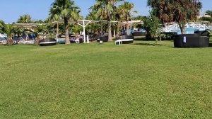 Sultan of dreams 5 * отель Турция - ВСЯ ПРАВДА - 2019