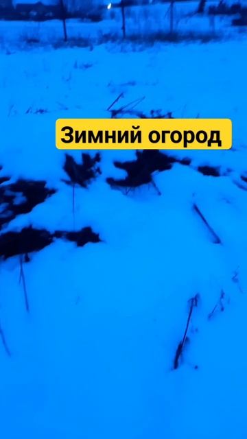 Зимний огород. Карамалы, Башкирия. #зима#огород#деревн? смотреть онлайн