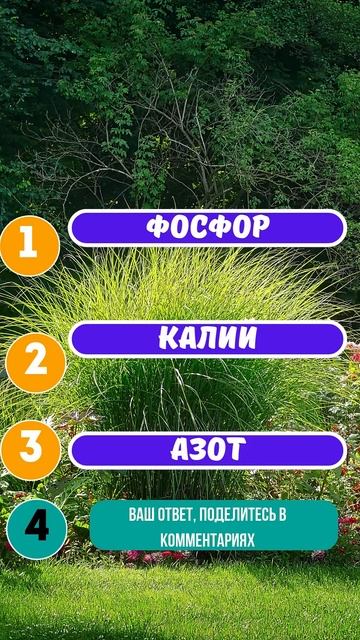 🌻🥒Как часто нужно рыхлить почву на грядках? #Овощи #Т смотреть онлайн
