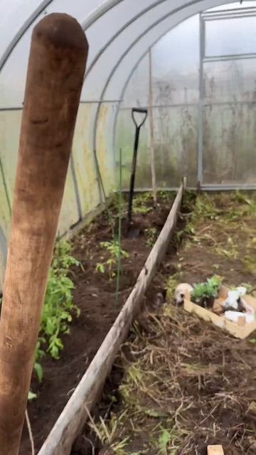 А как вы проводите лето в 30 ? 🤔😂#сад #садовод #ботаник? смотреть онлайн