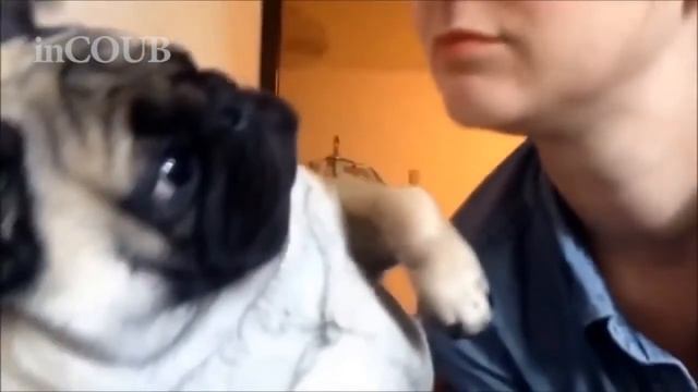 ЛУЧШИЕ ПРИКОЛЫ МАРТ 2018 😆СМЕШНЫЕ МОМЕНТЫ ИЗ BEST CUBE IN COUB 💪КУБ #31 смотреть онлайн