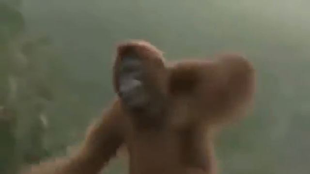 Обезьяна танцует. смотреть онлайн