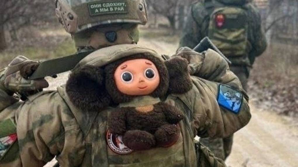 Клип про СВО читает девочка