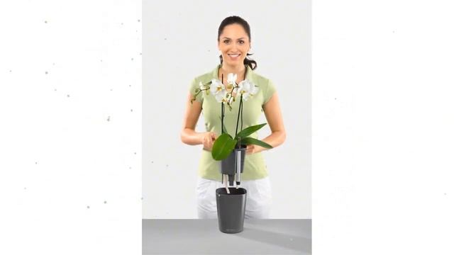 Кашпо Дельтини с системой полива, красное (Lechuza) обзор 1