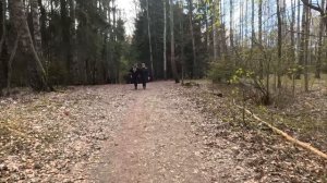 небольшое путешествие на фэтбайке