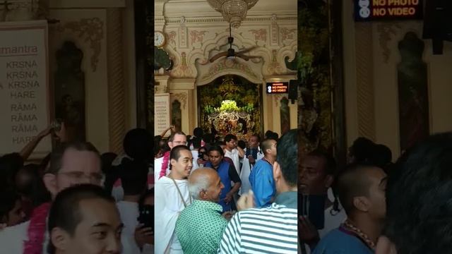 Нітай Ґоур, Радхе Шйам, джай Шрі Крішна Баларам! 💜💛💙 смотреть онлайн