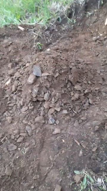 Кетмень, тяпка (001) 25.05.2024 Сб 1955 смотреть онлайн