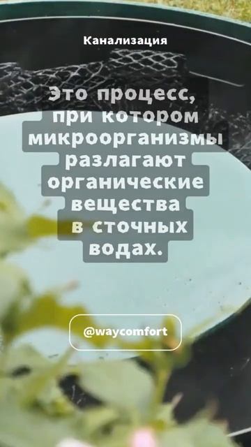 🌿Что такое биологическая очистка? #shorts смотреть онлайн