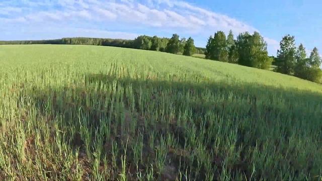 ОБЗОР НА MOTOLAND XT300 HS | МОТОР 175FMM | Сборка из коробки| Тест-драйв| Первые впечатления