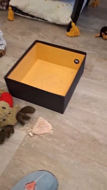 Любимые мужчины🤸♀️🤸♀️ #лапландия #семья #цветы смотреть онлайн