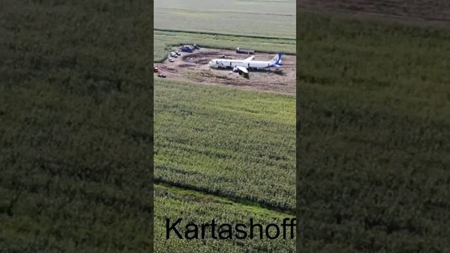 Нереальное чудо! Самолёт с полными баками на кукурузн? смотреть онлайн