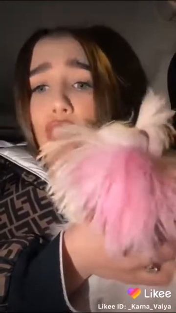 Диана и её собака бани смотреть онлайн