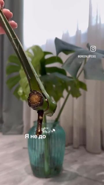 За месяц хороший результат . Подписывайтесь , скоро бу? смотреть онлайн