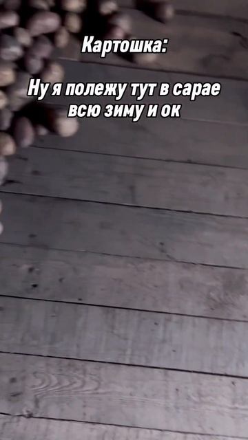 #огород #жизньвдеревне #картошка #фрукты #овощи смотреть онлайн