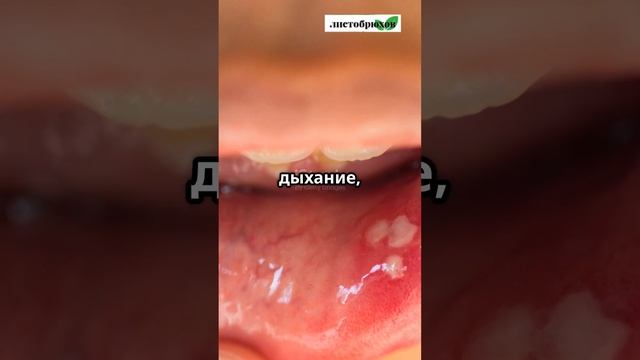 Вот что происходит с вашим телом каждый день, когда вы смотреть онлайн