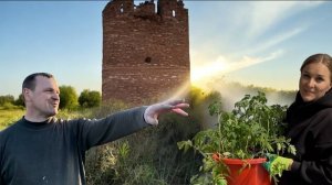 ТАИНСТВЕННАЯ БАШНЯ В РОДНОЙ ДЕРЕВЕНЬКЕ/ПОСАДКА ТОМАТОВ  И КАРТОФЕЛЯ/ФОТООХОТА НА КОСУЛЮ