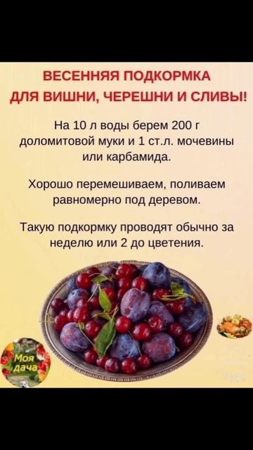 ВЕСЕННЯЯ ПОДКОРМКА ДЛЯ ЧЕРЕШНИ, ВИШНИ И СЛИВЫ смотреть онлайн