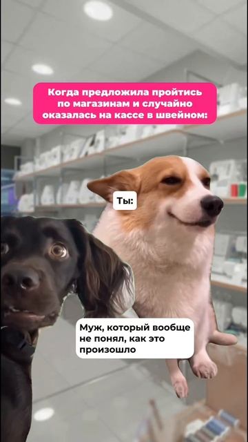 Знакомо?🤓 смотреть онлайн