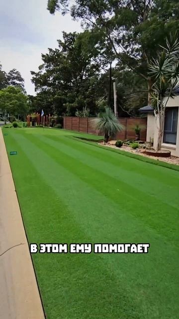 Как делают поле для гольфа 🤩