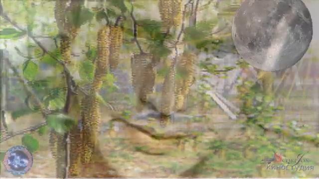 ЛЕЗВИЕ!!! Александр Сотник на стихи Юлии Моркиной Анто? смотреть онлайн