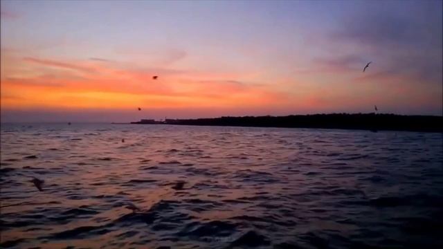 Красивая Азербайджанская песня смотреть онлайн