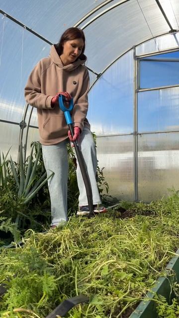 Что делать с сидератами? #огород #сидераты #дача #огоро? смотреть онлайн