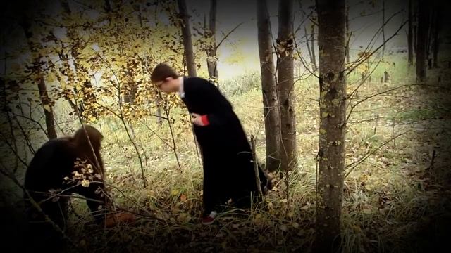 Гарри Поттер / Пародия часть 2 смотреть онлайн