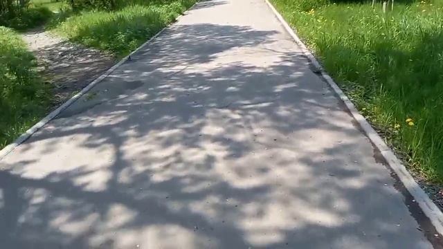 Vlog)Роха гум кардем🙈...