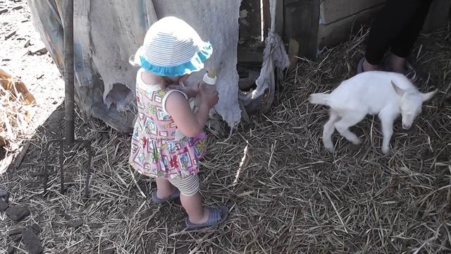 Вера кормит Маню  Продолжение