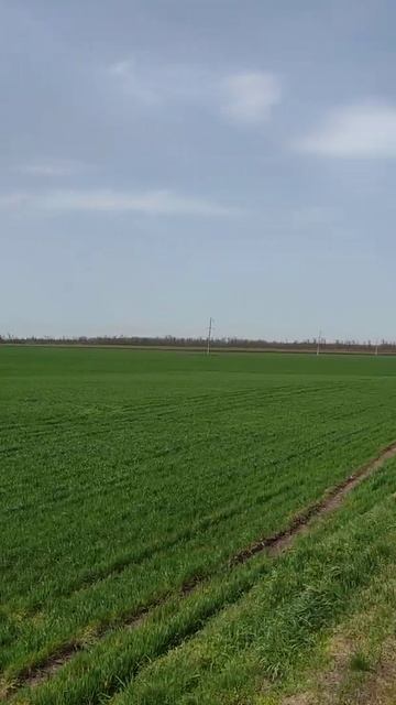 Где-то под Майкопом... Республика Адыгея, ветряные гене смотреть онлайн