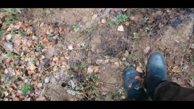 Выезд в тайгу за металлом с мд. Накопал за два дня 600 кг. смотреть онлайн