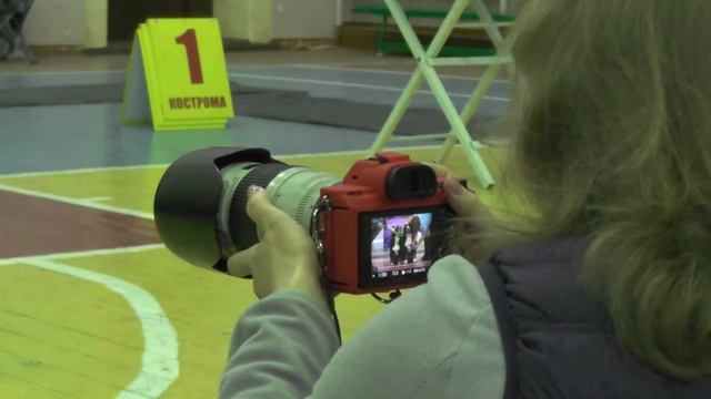 Костромская выставка собака САС смотреть онлайн