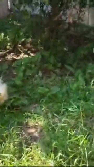 12 июля 2024 г.