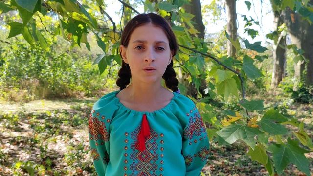 Контрибуція Катерина | Вірш 