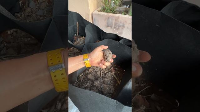 Интересный состав грунта для тканевой грядки смотреть онлайн