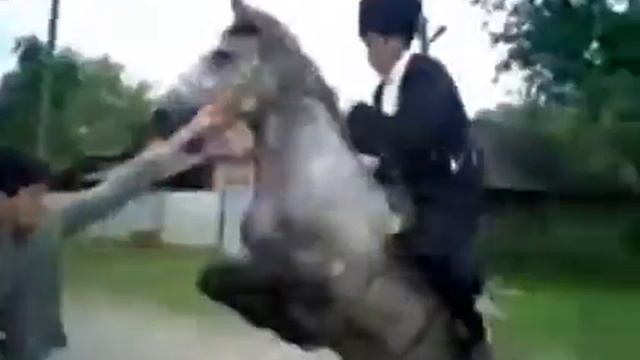 Лошадь опрокинула человека, жесть смотреть онлайн