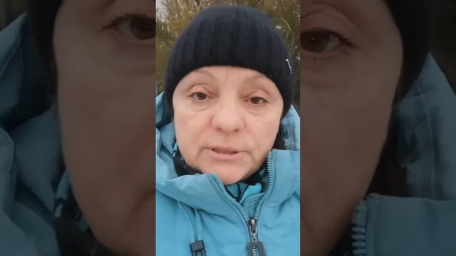 Почему правозащитников, которые говорят людям правду, смотреть онлайн